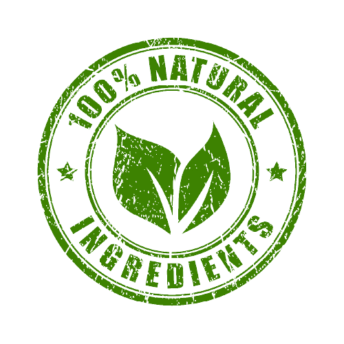 Premium Whey Protein - Chocolate Milkshake